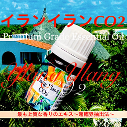 【濃厚な花の香り】イランイランCO2エクストラクト5ml（10ml販売中） 2枚目の画像