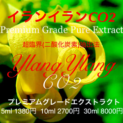 濃厚な花の香り】イランイランCO2エクストラクト5ml（10ml販売中