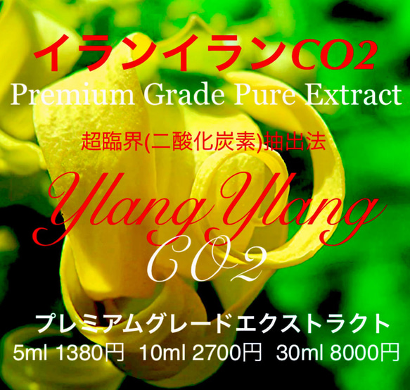 【濃厚な花の香り】イランイランCO2エクストラクト5ml（10ml販売中） 1枚目の画像
