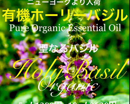 聖なるバジル】有機ホーリーバジル精油5ml（10ml出品中） その他素材