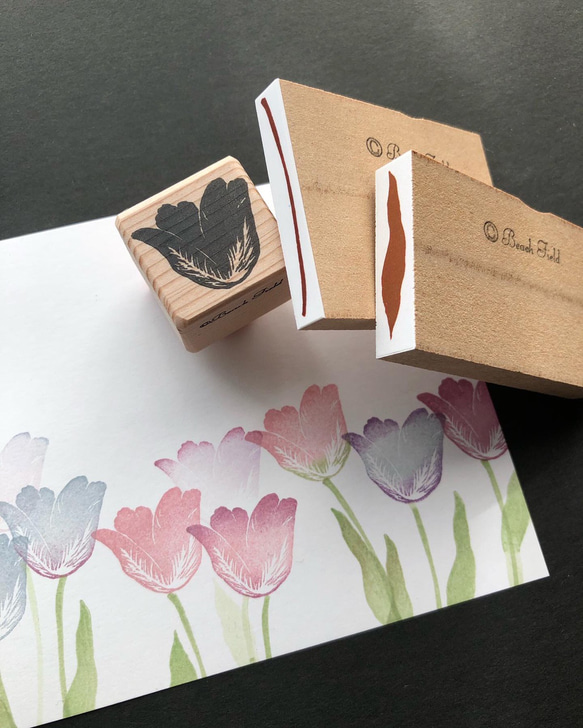 スタンピンアップ　スタンプ&ダイの3セット　【ROOTET IN NATURE】 スタンピンアップ スタンプ&ダイの3セット 【ROOTET IN NATURE】