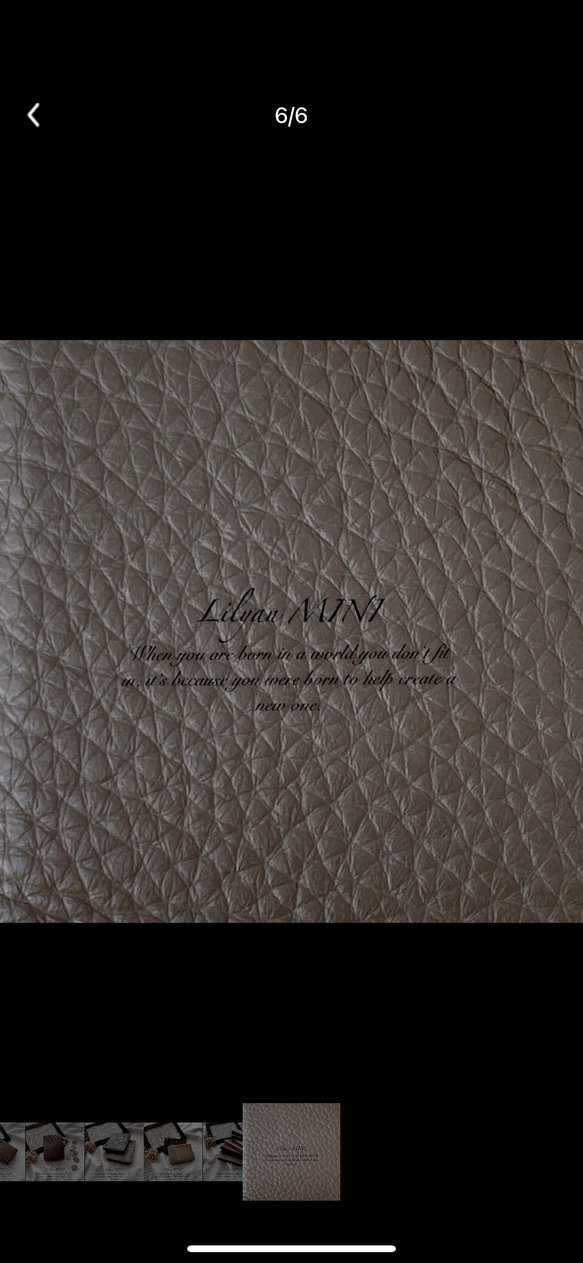 コインケース トープ レザー 牛革 本革 ミニジップ ミニ 財布 カードケース 小銭入れ お札入れ 多機能 4枚目の画像