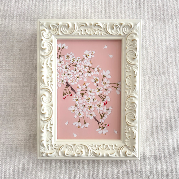 【原画・送料無料】春　迎春　お部屋でお花見気分　「桜」原画縦約40㎝×横約40㎝ 日本画原画 桜