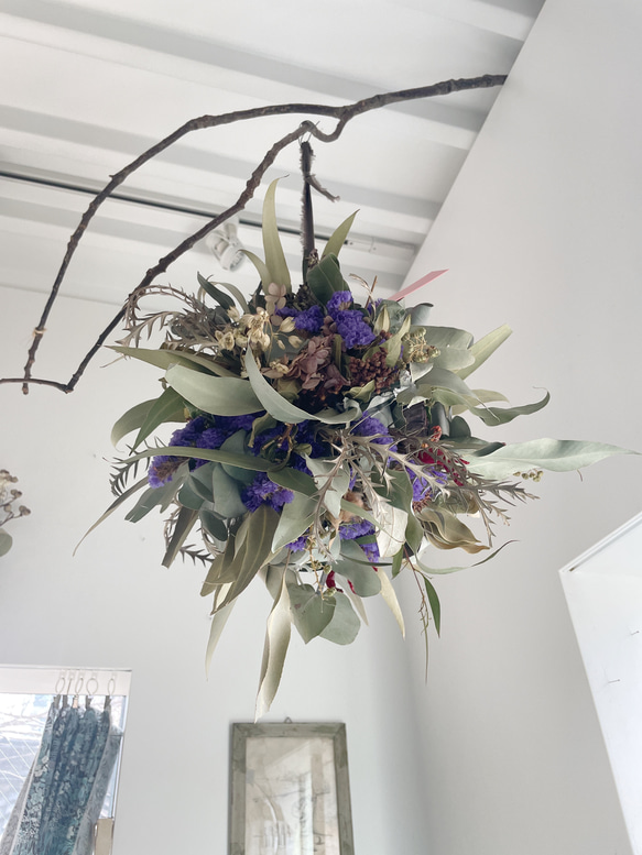 ユーカリポポラスのボールリース フライングボール ユーカリポポラスの