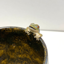 尻尾カエルマグカップ（ひょっこり） 4枚目の画像