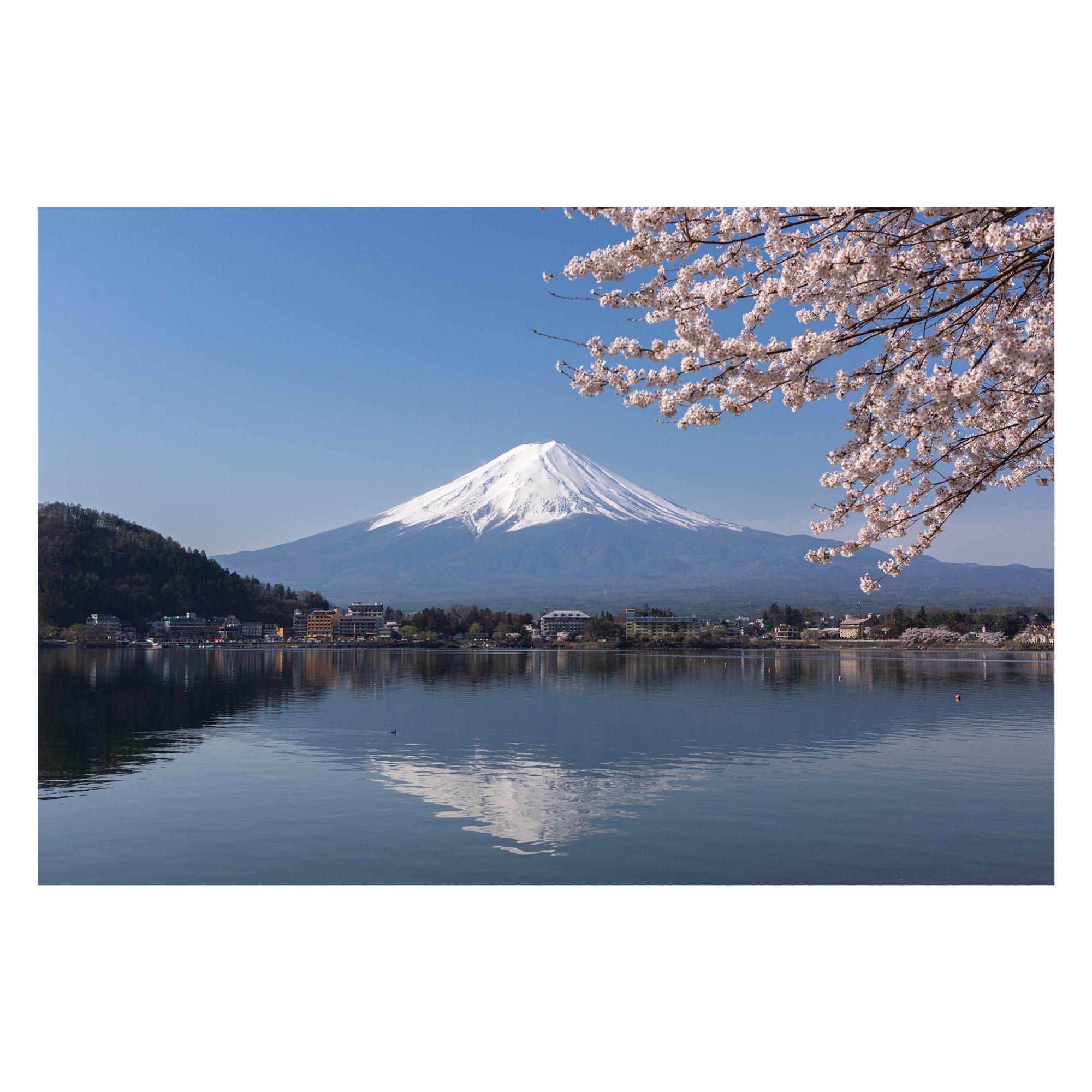 A4プリント 富士山と桜 写真・グラフィック MOMENTS 通販 11516248