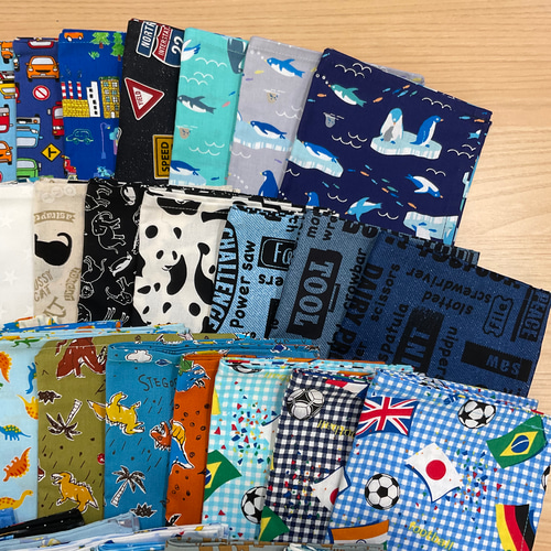 1週間安心】w55×35cm w50×35cm ランチョンマット おまかせ 男の子 5枚