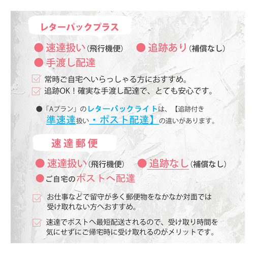 お急ぎ便】〈優先制作・速達郵便〉○2プランで対応可能○ その他