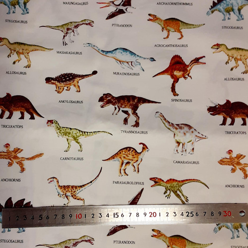 ランチ4点セット⭐︎ 恐竜柄 楽天市場】ランチボックス 恐竜王者が大集合