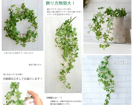 3bb3732ffe425cc22b252e6c2a1234