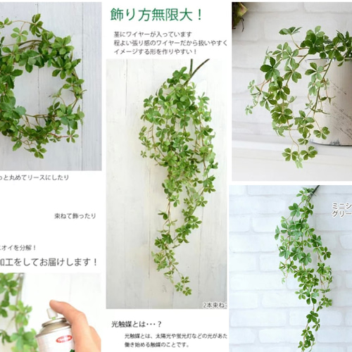 光触媒 大人気！ フェイクグリーン 空気綺麗 シュガーバイン シサス