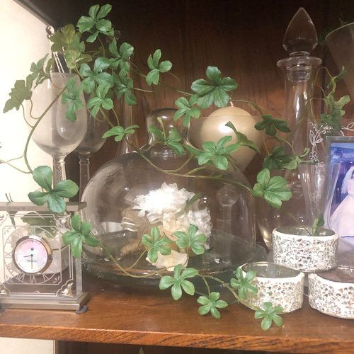 光触媒 大人気！ フェイクグリーン 空気綺麗 シュガーバイン シサス