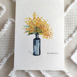 ①『mimosa』水彩画　はがきサイズ　3枚セット 1枚目の画像