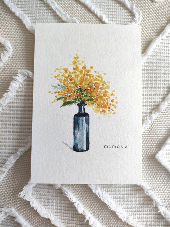 ①『mimosa』水彩画　はがきサイズ　3枚セット 1枚目の画像