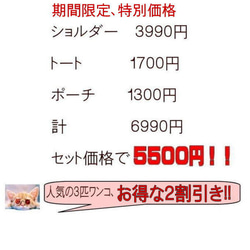 【送料無料】３点セット お散歩バッグ ショルダー 犬 シュナウザー グッズ  雑貨 9枚目の画像