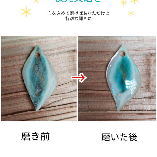 大型夜光貝　姿磨き　飾り物　インテリア　　　アクセサリー　オブジェ Amazon.co.jp: 夜光貝 2個セット 姿磨き インテリア 飾り物