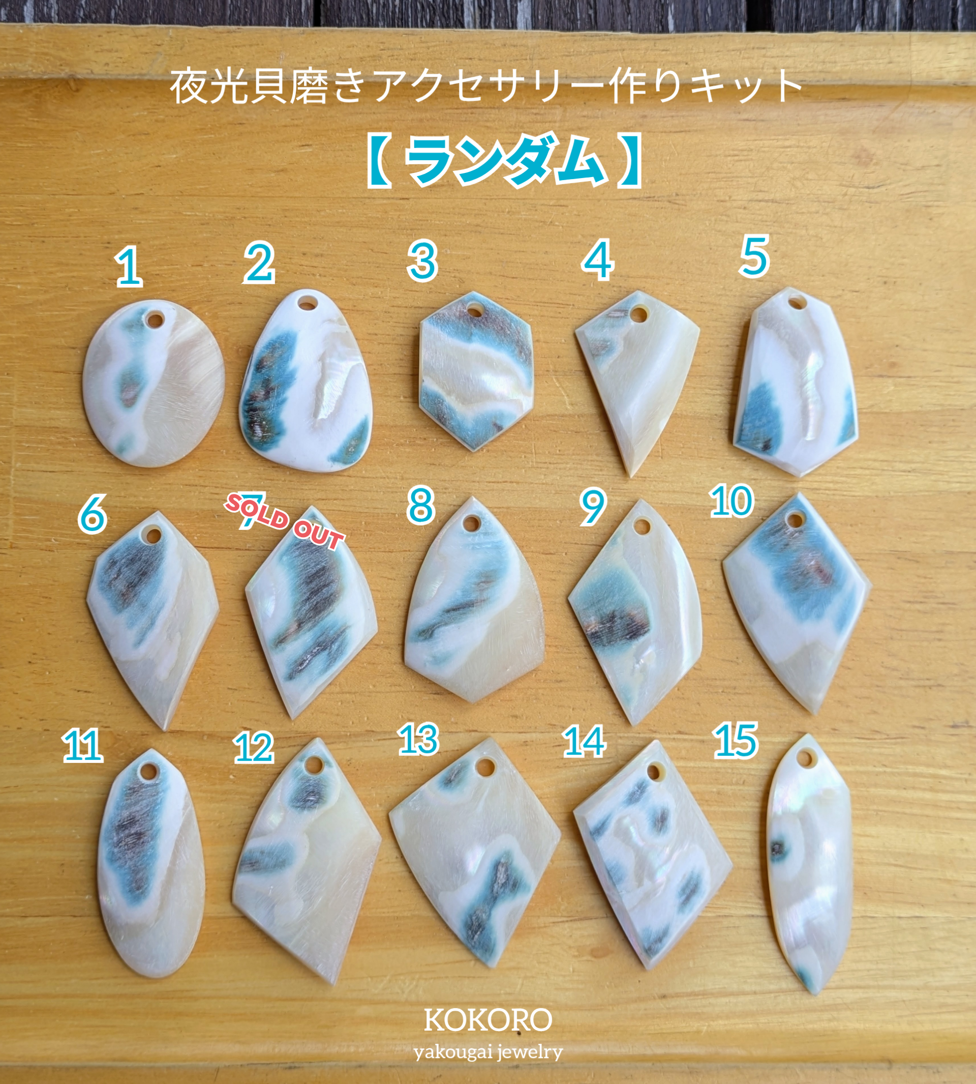 夜光貝　ヤコウ貝　まとめ売り　22個　18、4kg アクセサリー　ルア 夜光貝 ヤコウ貝 まとめ売り 22個 18、4kg アクセサリー ルア