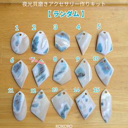 夜光貝　ヤコウ貝　まとめ売り　22個　18、4kg アクセサリー　ルア 夜光貝 ヤコウ貝 まとめ売り 22個 18、4kg アクセサリー ルア