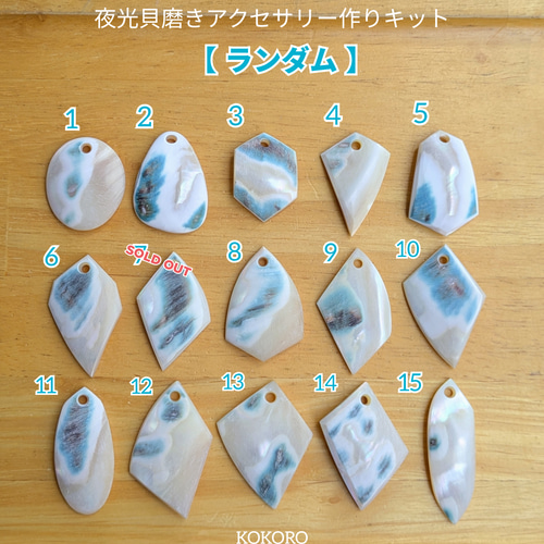 夜光貝　ヤコウ貝　まとめ売り　21個　12、5kg アクセサリー　ルアー 夜光貝 ヤコウ貝 まとめ売り 21個 12、5kg アクセサリー ルアー