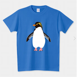 【しろくまさん様】制服Tシャツ5枚set 71oX+1WaBWL.jpg
