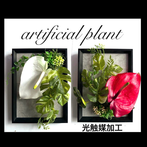 光触媒加工抗菌消臭ウォールグリーンLong board75 NO.73.74