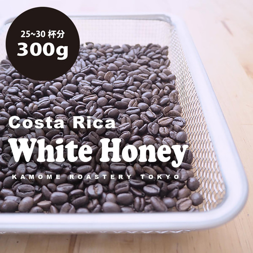 ホワイトハニー』コスタリカ コーヒー豆300g 【受注後焙煎】 コーヒー