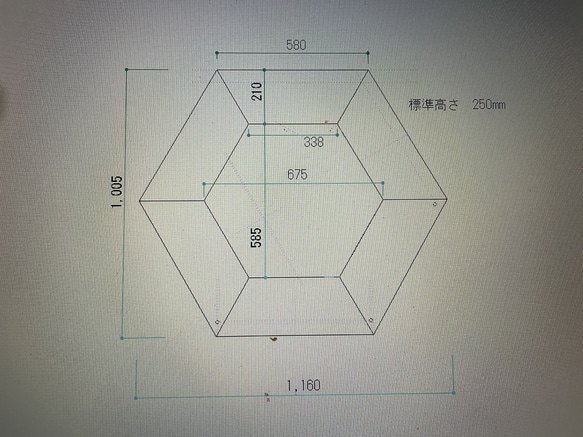  第12張的照片