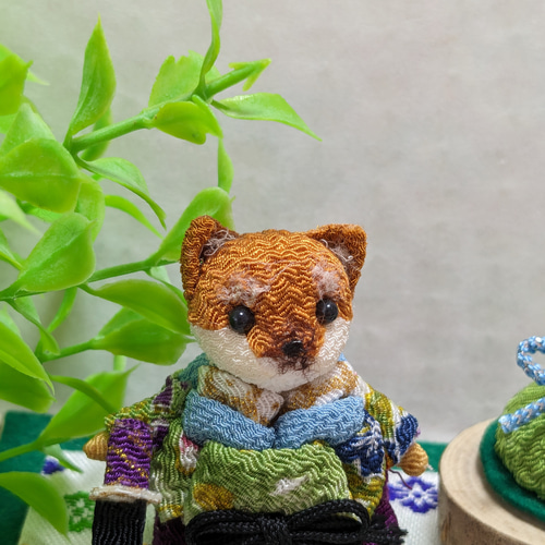 柴犬の五月人形 ちりめん細工端午の節句こどもの日飾り 柴犬 現品限り