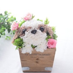 フラワーペット【シーズー】プリザーブドフラワー 花 犬 ペット 母の日 お供え 誕生日 プレゼント カーネーション 7枚目の画像