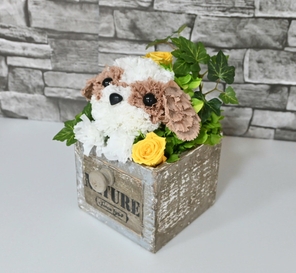 フラワーペット【シーズー】プリザーブドフラワー 花 犬 ペット 母の日 お供え 誕生日 プレゼント カーネーション 4枚目の画像
