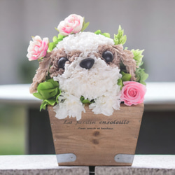フラワーペット【シーズー】プリザーブドフラワー 花 犬 ペット 母の日 お供え 誕生日 プレゼント カーネーション 2枚目の画像