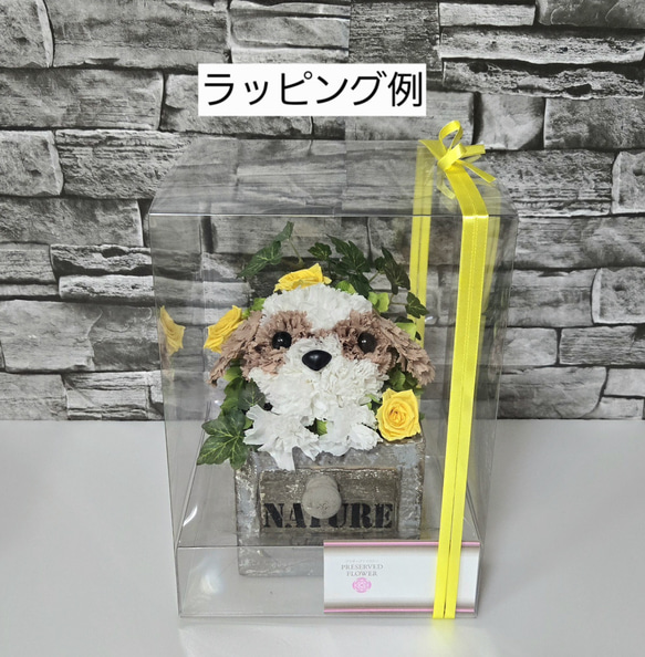 フラワーペット【シーズー】プリザーブドフラワー 花 犬 ペット 母の日 お供え 誕生日 プレゼント カーネーション 12枚目の画像