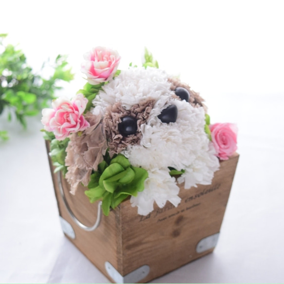 フラワーペット【シーズー】プリザーブドフラワー 花 犬 ペット 母の日 お供え 誕生日 プレゼント カーネーション 6枚目の画像