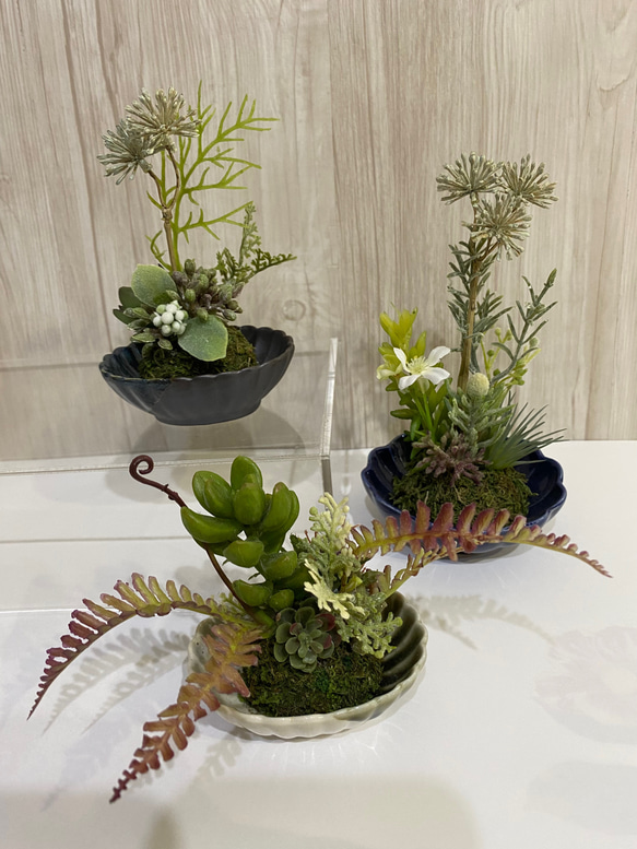 苔玉 和風小皿の多肉植物アレンジ3点 アートフラワー カガミン 通販