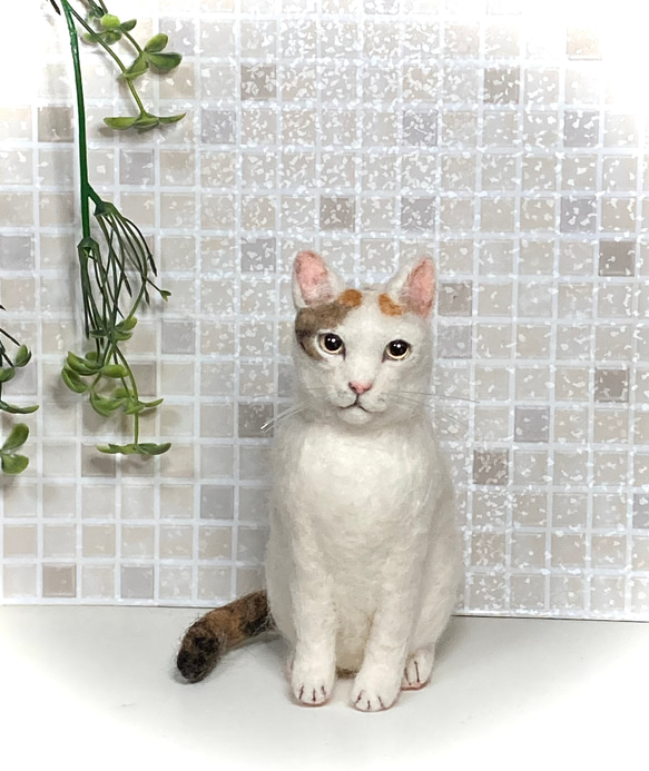 Mサイズ 植毛有り 黒猫ちゃん サンプルページ オーダー