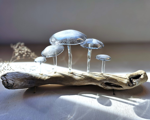 ガラスのキノコ 置物 オブジェ 黒5本 立体・オブジェ スタジオ