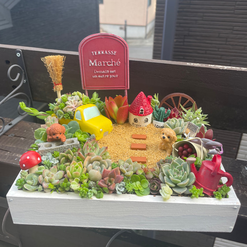 プレゼントにも〜わんにゃん箱庭風多肉植物寄せ植え 多肉植物 まぁ