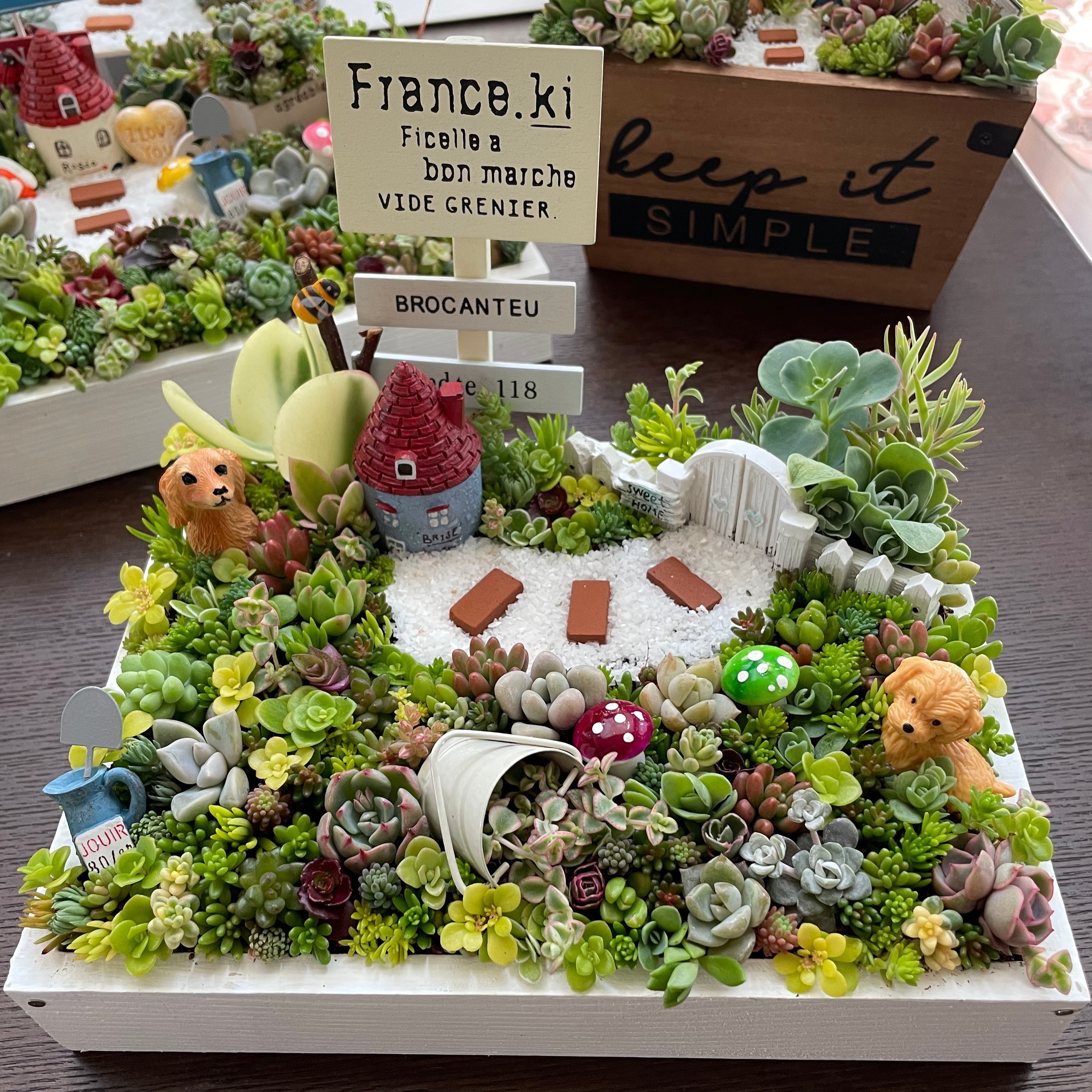 プレゼントにも〜わんにゃん箱庭風多肉植物寄せ植え