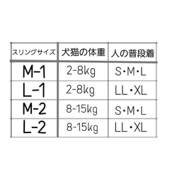  第7張的照片