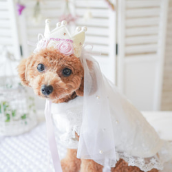 My princess crown..♡おひめさまになれちゃう　王冠　誕生日　撮影会　結婚式　犬　猫 8枚目の画像