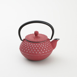 南部鉄器　 岩戸賢一郎作　 平丸型鉄瓶 未使用 径約18cm 南部鉄器 鉄瓶 岩戸賢一郎作 平丸小桜1.2L Shinwadenki