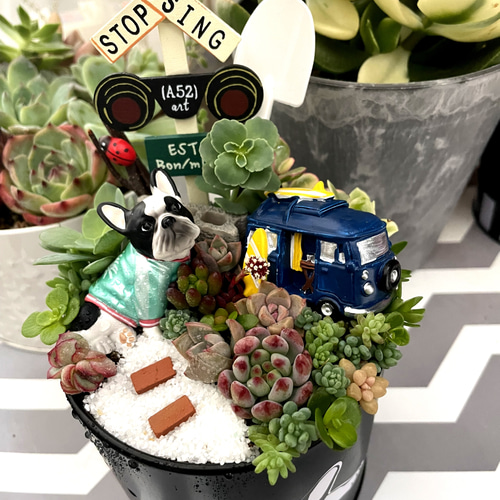 受注制作 フレブルブリキ缶箱庭風多肉植物寄せ植え 多肉植物
