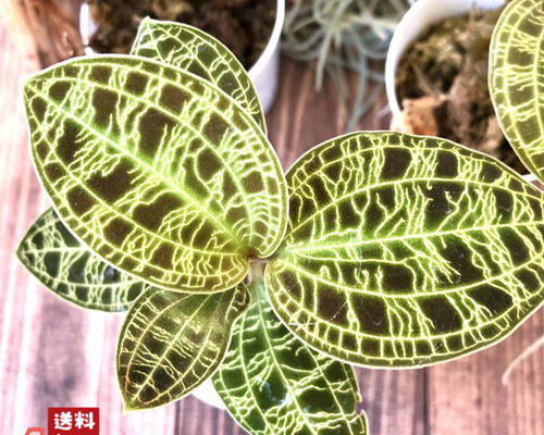 643bf4cf6e08fca03dbff13b14afda