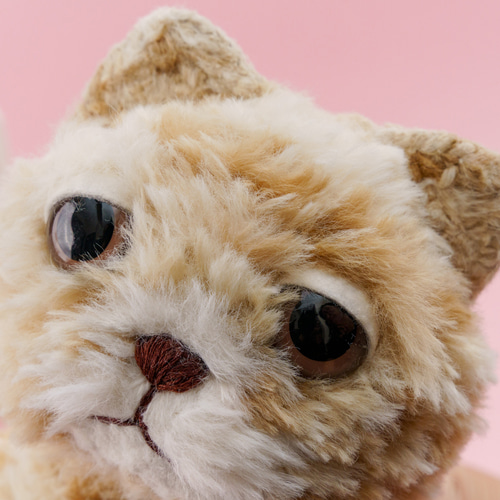 受注制作> 癒されネコのあみぐるみ 思わず抱っこしたくなるtype・猫の