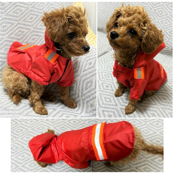 SALE50%OFF レインコート アウター 反射材 雨具 雨合羽 散歩 犬服 猫 ドッグウェア YC7 YC8 YC9 10枚目の画像