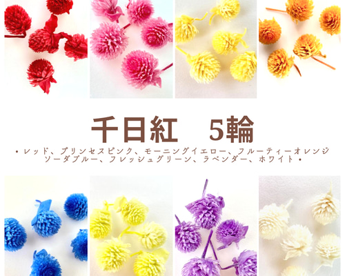 2b67e7b9c5e2c2091ecd96f31c0ca2