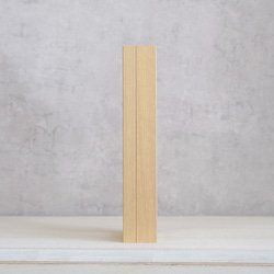 【母の日2025】カーネーションフレーム /ストロベリーピンク 3枚目の画像