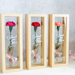 【母の日2025】カーネーションフレーム /ストロベリーピンク 4枚目の画像