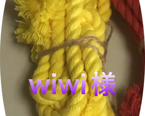 9c29f6fbfaa738a07a8bcdde61a505