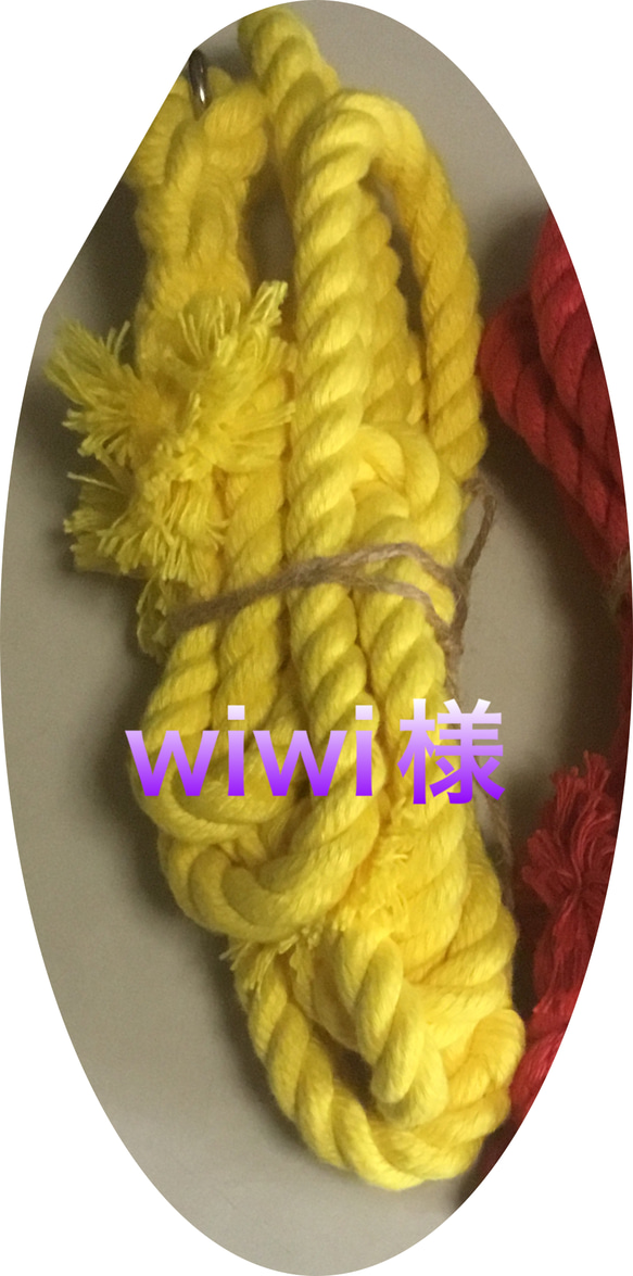 秋田犬運動用リード 引き綱 リード・首輪 桜庵 通販 11609448｜Creema